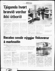 Síða 4
