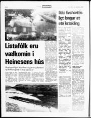 Síða 8