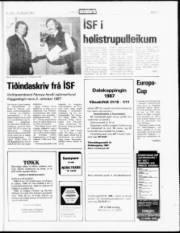 Síða 13