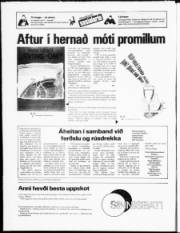 Síða 20