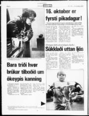 Síða 4