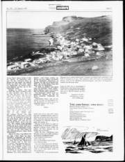 Síða 21