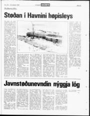 Síða 23