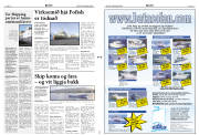 Síða 20