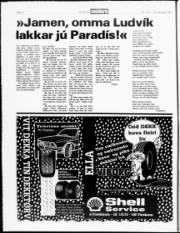 Síða 4