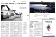 Síða 21