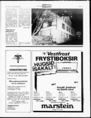 Síða 17