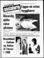 Síða 1