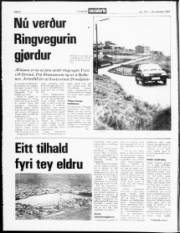 Síða 2