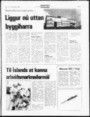 Síða 3