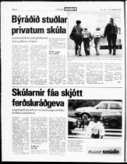 Síða 4
