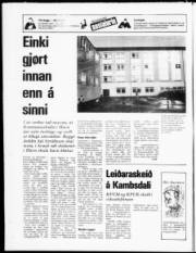 Síða 20