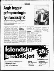 Síða 3