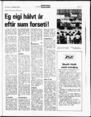 Síða 17
