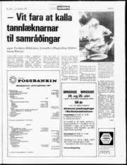 Síða 21