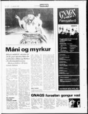 Síða 23