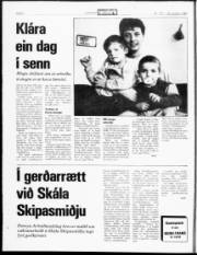 Síða 2