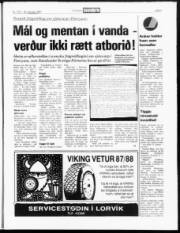 Síða 5