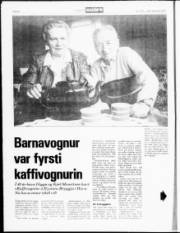 Síða 8