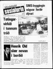 Síða 1