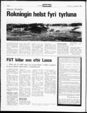 Síða 2