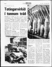 Síða 4