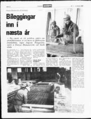 Síða 12