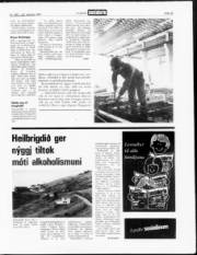 Síða 13