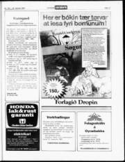 Síða 17