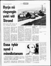 Síða 3