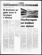 Síða 7