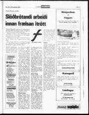 Síða 17