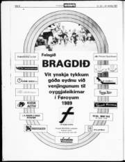 Síða 20