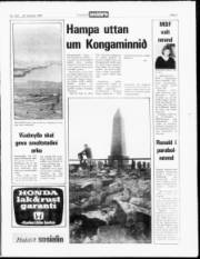 Síða 3