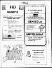 Síða 15