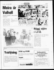 Síða 19
