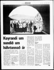 Síða 4