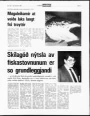 Síða 11