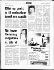 Síða 12