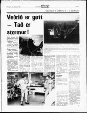Síða 3