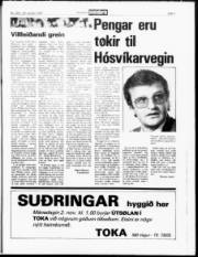 Síða 7