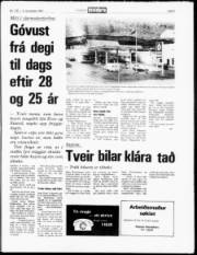 Síða 5