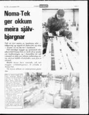 Síða 11