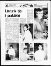 Síða 20