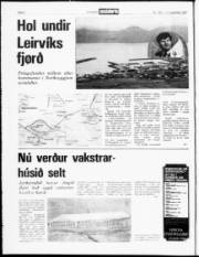 Síða 2