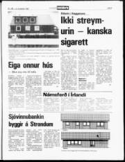 Síða 5