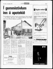 Síða 7