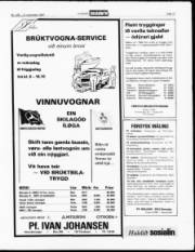 Síða 13