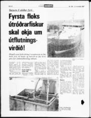 Síða 18