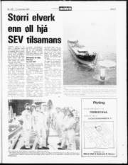Síða 21